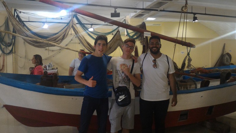 P 20170405 112358 [1600x1200]